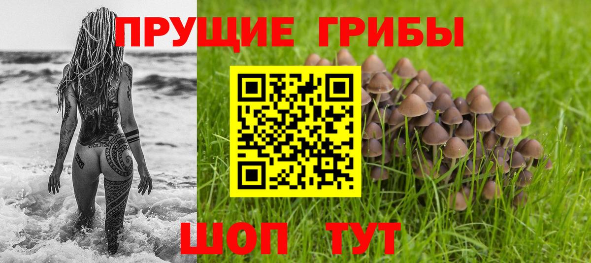 Псилоцибиновые грибы Psilocybe  Галлюциногенные грибы GOLDEN TEACHER  сколько стоит  Ейск  Вход с VPN 