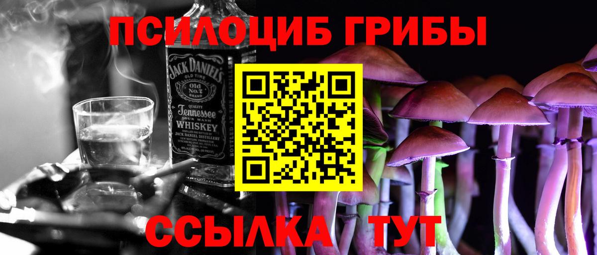 Галлюциногенные грибы Cubensis Ейск